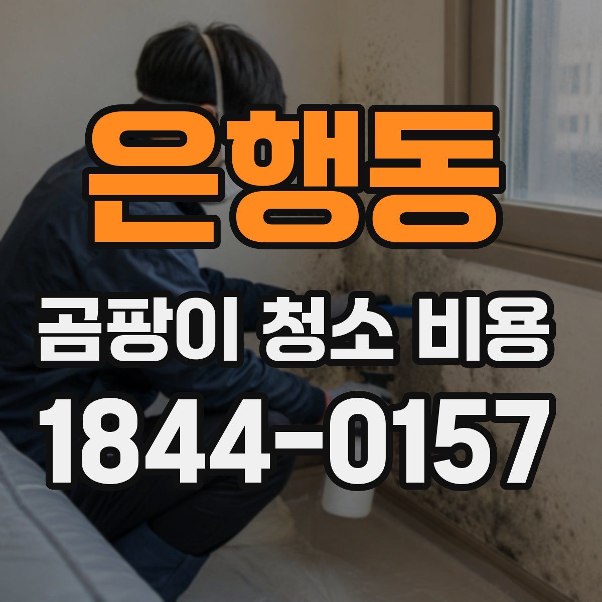 은행동 곰팡이 청소 비용