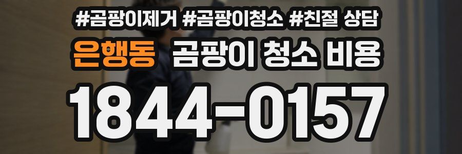 은행동 곰팡이 청소 비용