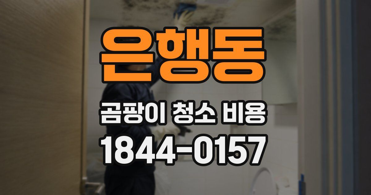 은행동 곰팡이 청소 비용