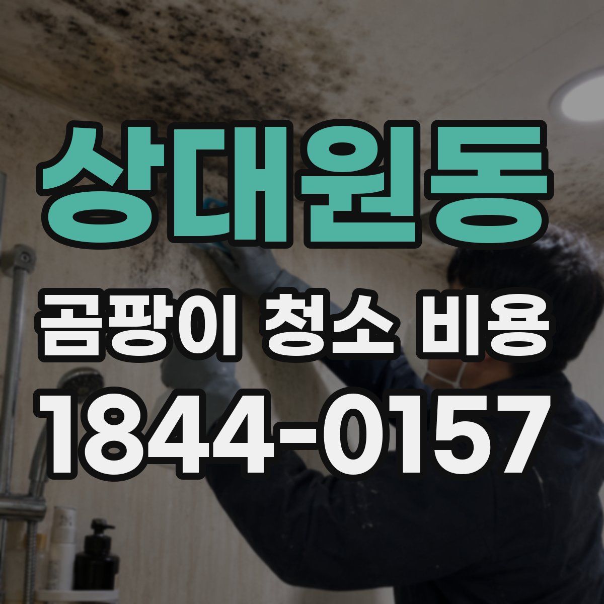 상대원동 곰팡이 청소 비용