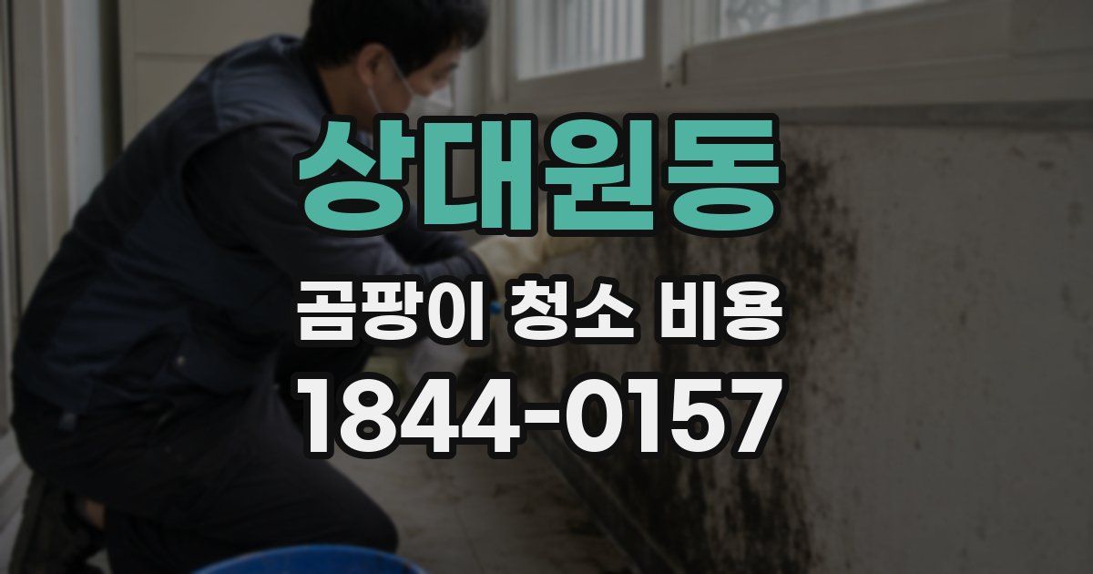 상대원동 곰팡이 청소 비용