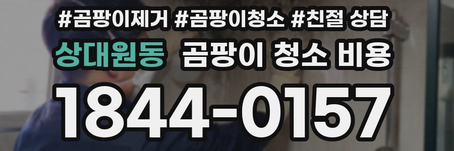 상대원동 곰팡이 청소 비용
