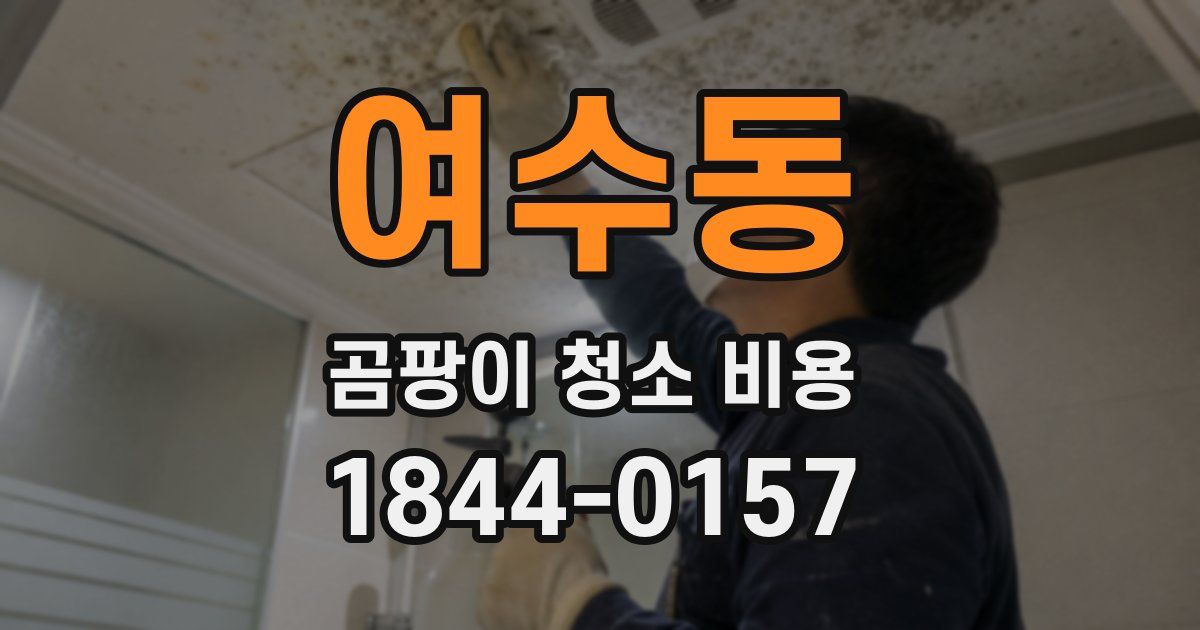 여수동 곰팡이 청소 비용