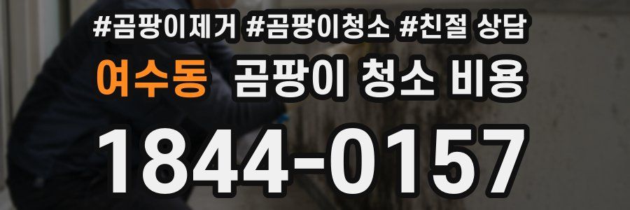 여수동 곰팡이 청소 비용