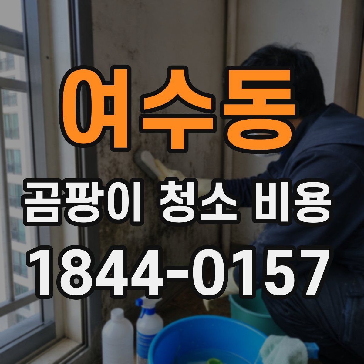 여수동 곰팡이 청소 비용