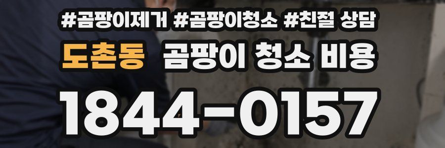 도촌동 곰팡이 청소 비용