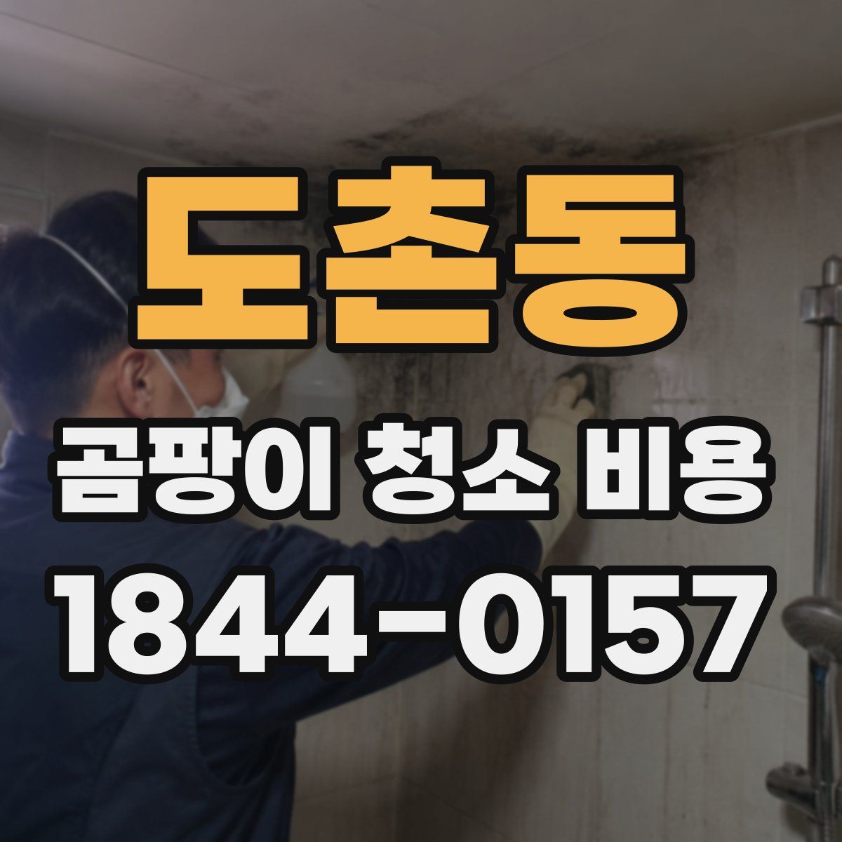 도촌동 곰팡이 청소 비용