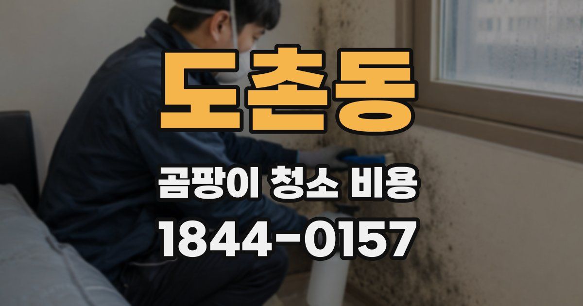 도촌동 곰팡이 청소 비용
