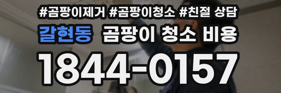 갈현동 곰팡이 청소 비용
