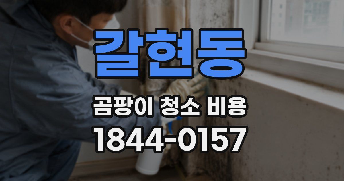 갈현동 곰팡이 청소 비용