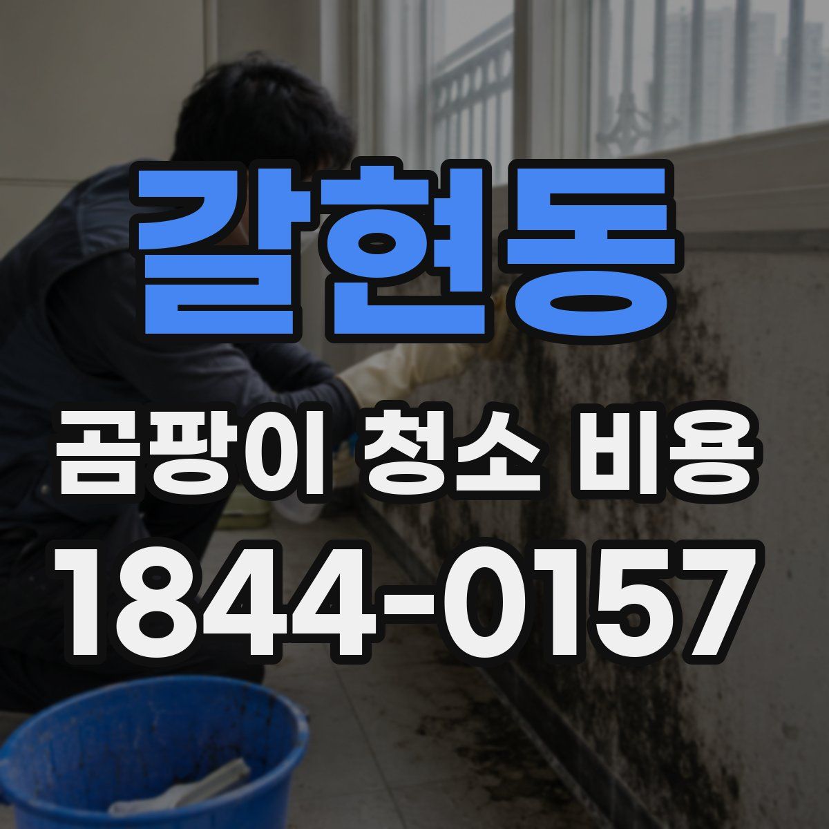 갈현동 곰팡이 청소 비용