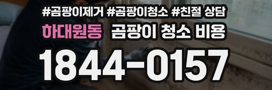 하대원동 곰팡이 청소 비용