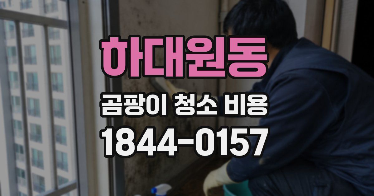 하대원동 곰팡이 청소 비용