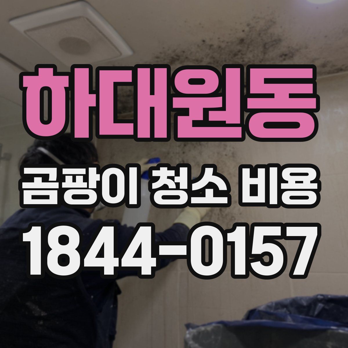 하대원동 곰팡이 청소 비용