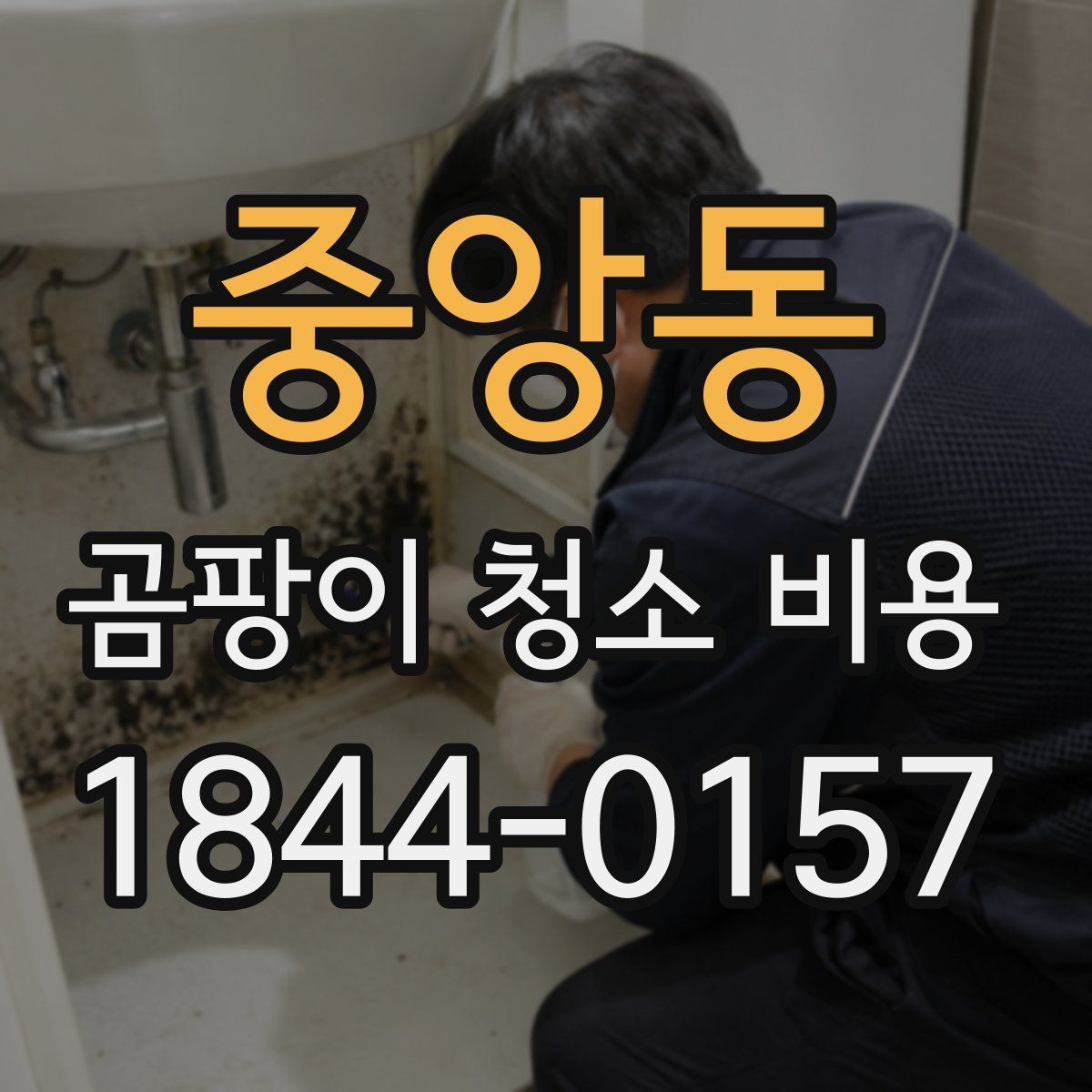 중앙동 곰팡이 청소 비용