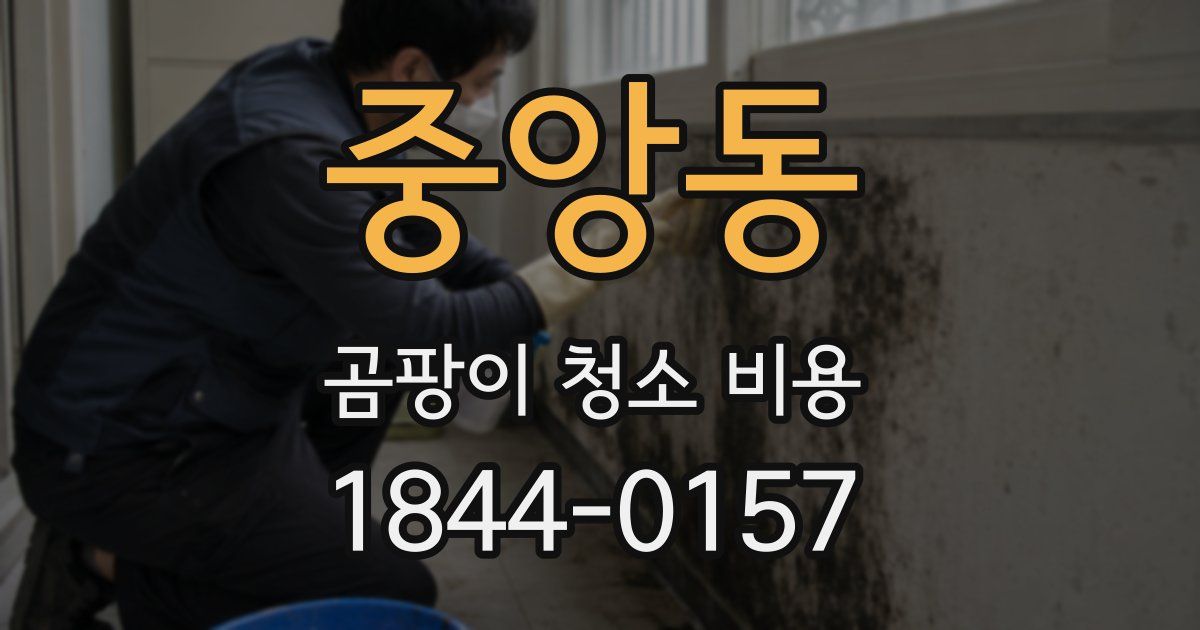 중앙동 곰팡이 청소 비용