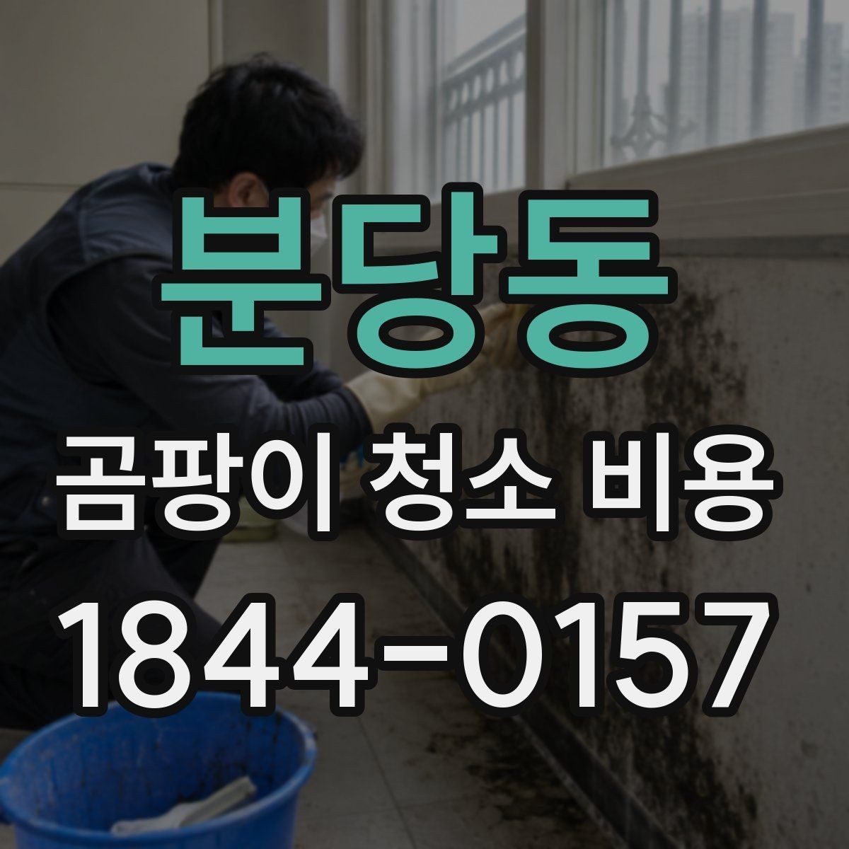 분당동 곰팡이 청소 비용 문의 시 업체별 확인 포인트