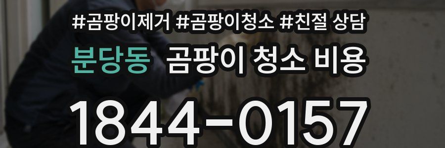분당동 곰팡이 청소 비용