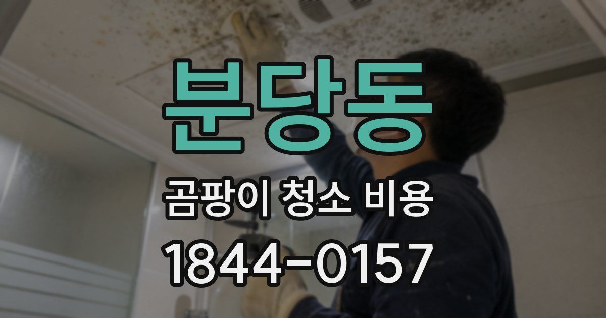 분당동 곰팡이 청소 비용