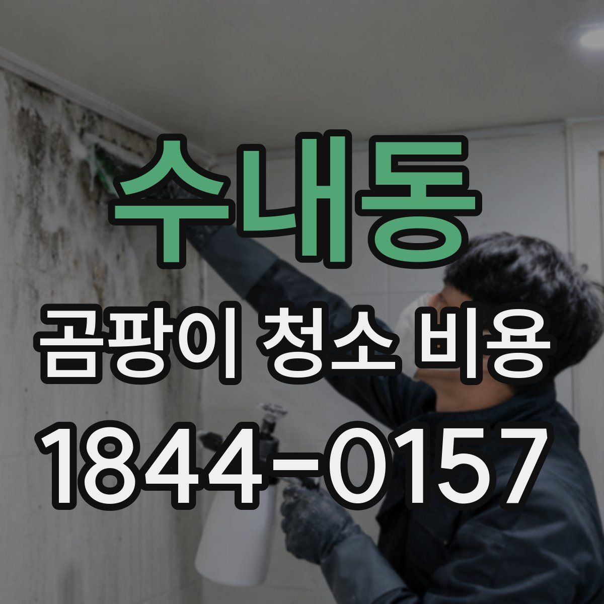 수내동 곰팡이 청소 비용
