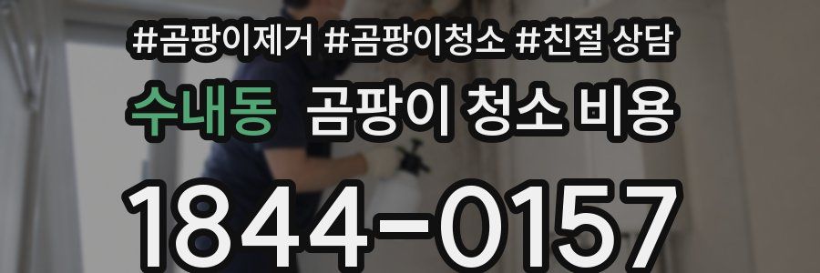 수내동 곰팡이 청소 비용
