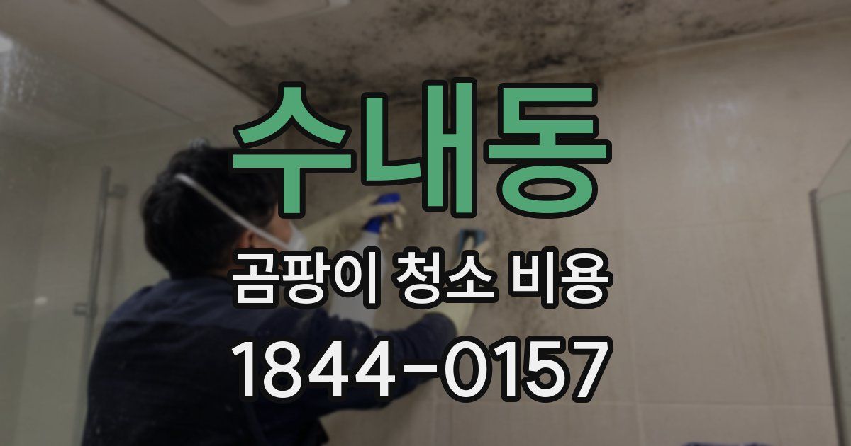 수내동 곰팡이 청소 비용