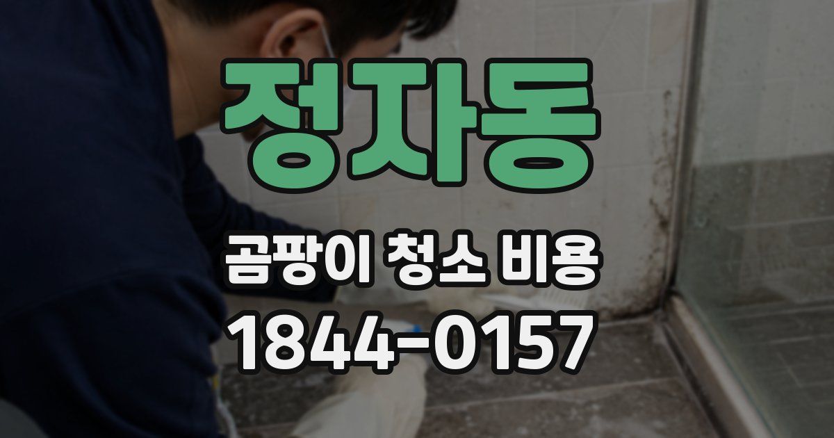정자동 곰팡이 청소 비용