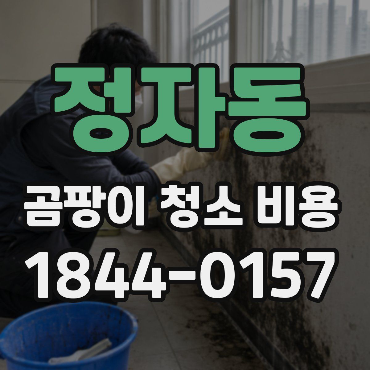 정자동 곰팡이 청소 비용