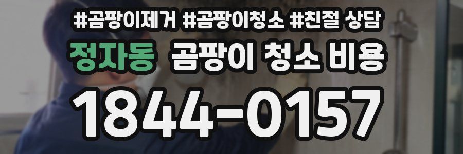정자동 곰팡이 청소 비용