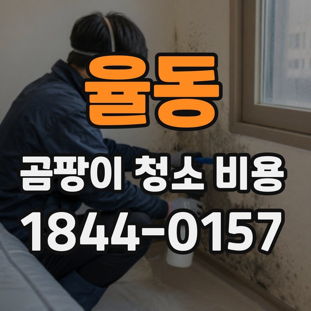 율동 곰팡이 청소 비용 예상할 때 보는 핵심 요소