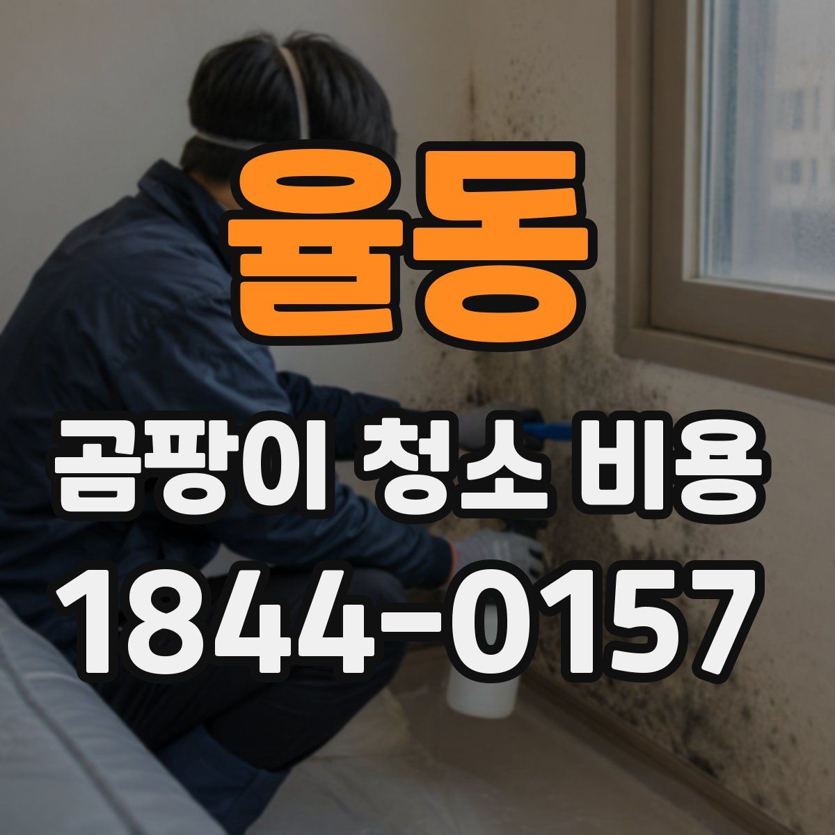 율동 곰팡이 청소 비용