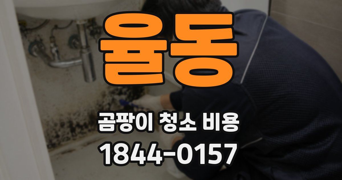 율동 곰팡이 청소 비용