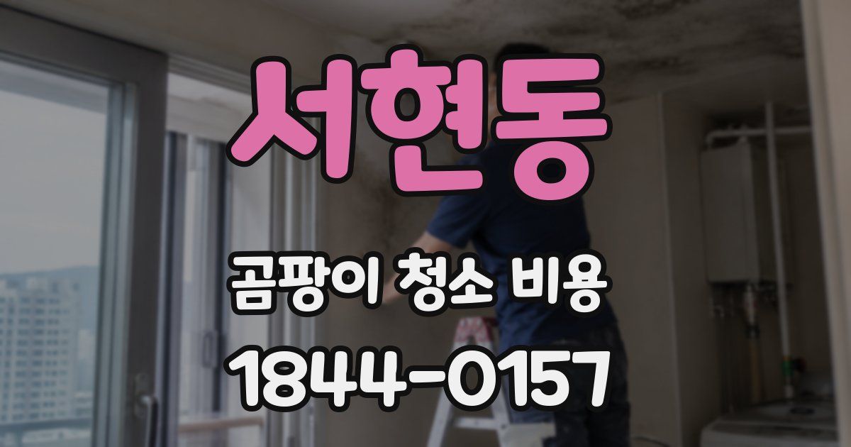 서현동 곰팡이 청소 비용