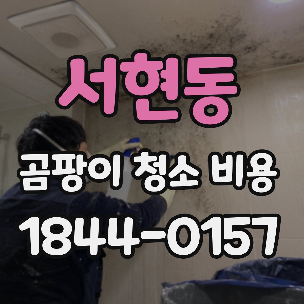 서현동 곰팡이 청소 비용
