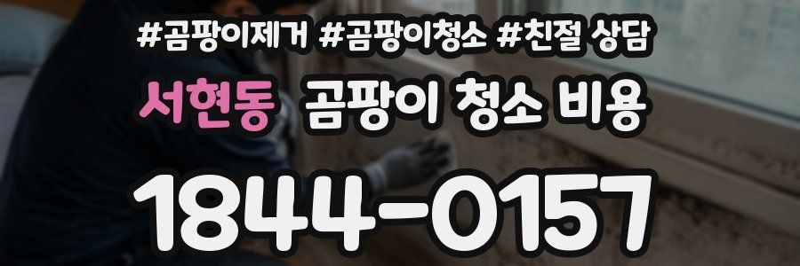 서현동 곰팡이 청소 비용