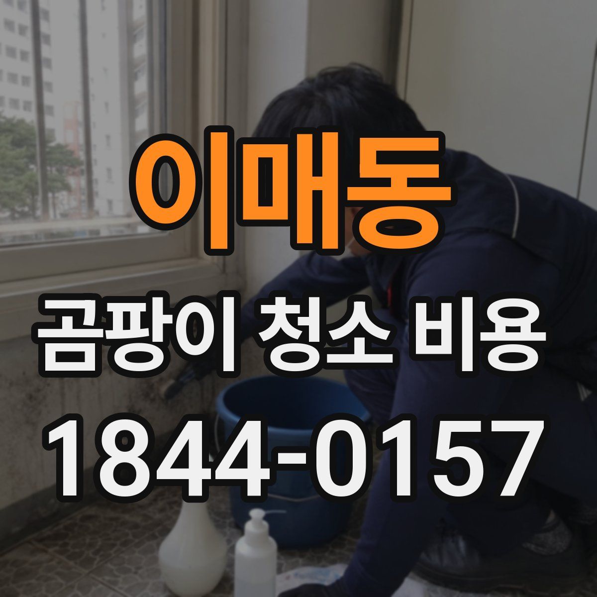 이매동 곰팡이 청소 비용