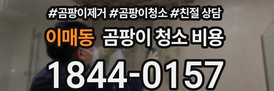 이매동 곰팡이 청소 비용