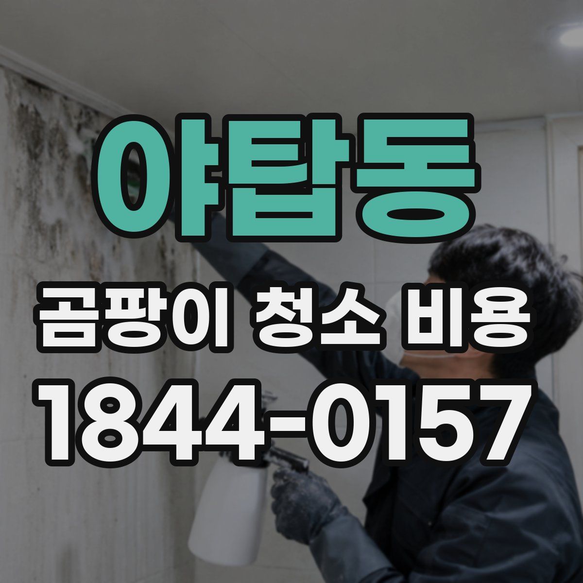 야탑동 곰팡이 청소 비용