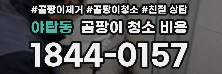 야탑동 곰팡이 청소 비용
