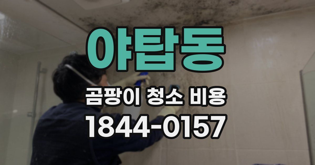 야탑동 곰팡이 청소 비용