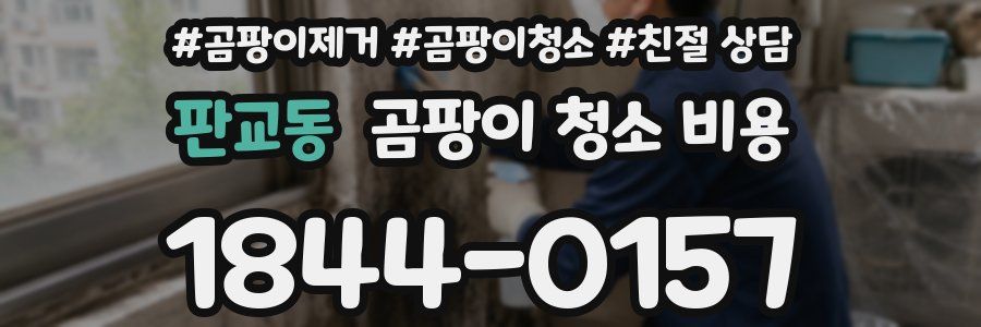 판교동 곰팡이 청소 비용