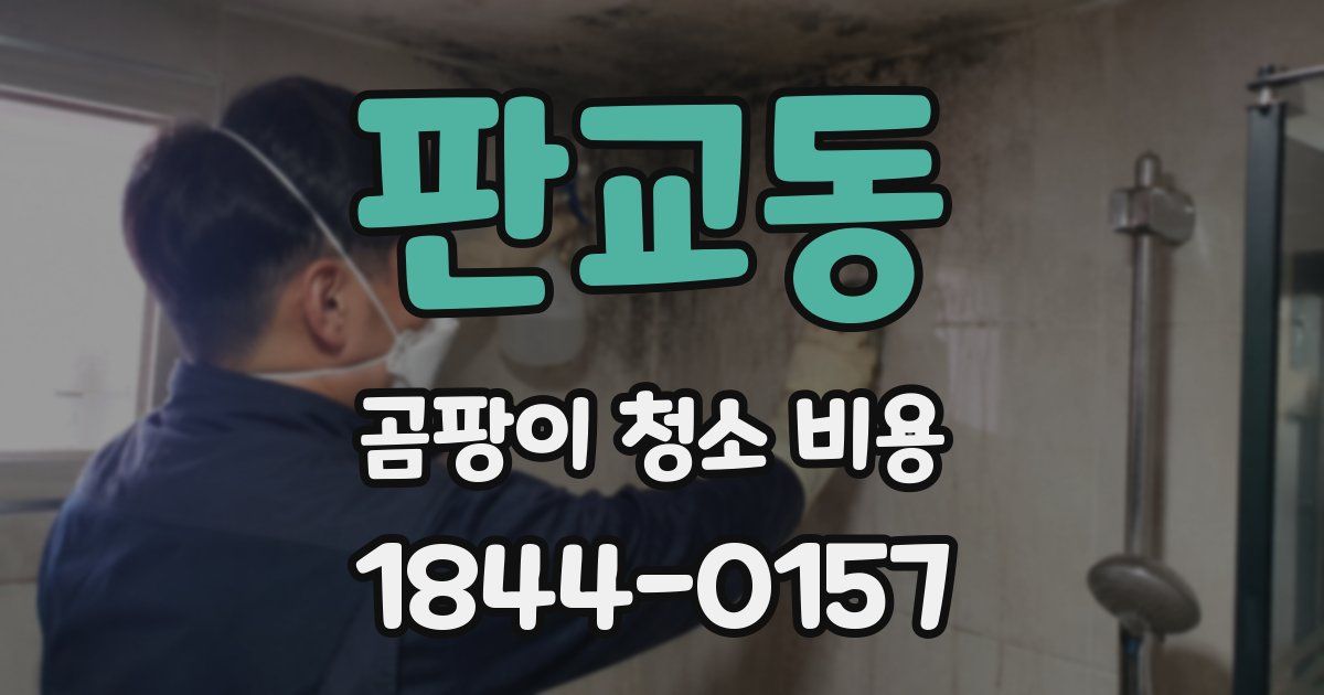 판교동 곰팡이 청소 비용