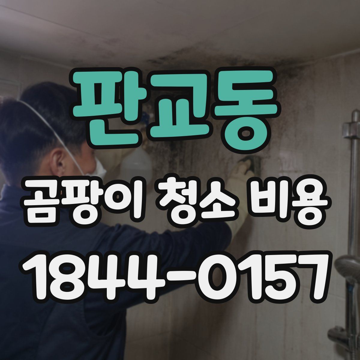 판교동 곰팡이 청소 비용
