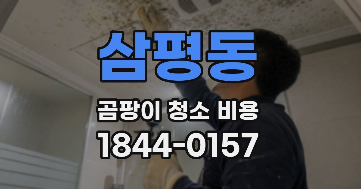 삼평동 곰팡이 청소 비용