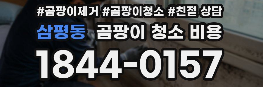 삼평동 곰팡이 청소 비용