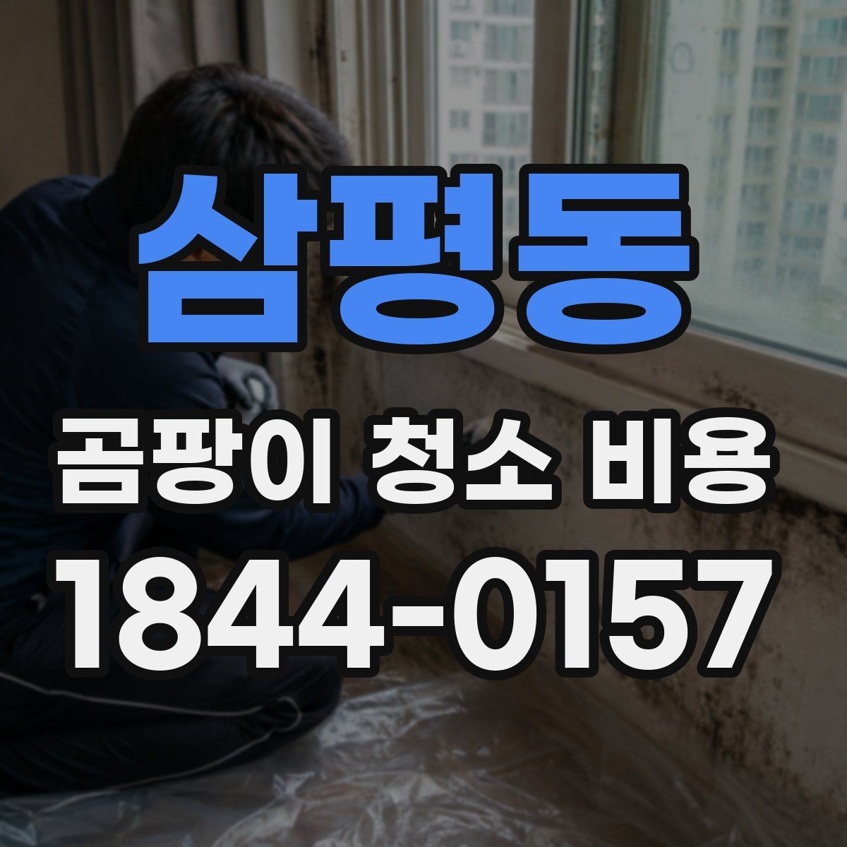 삼평동 곰팡이 청소 비용