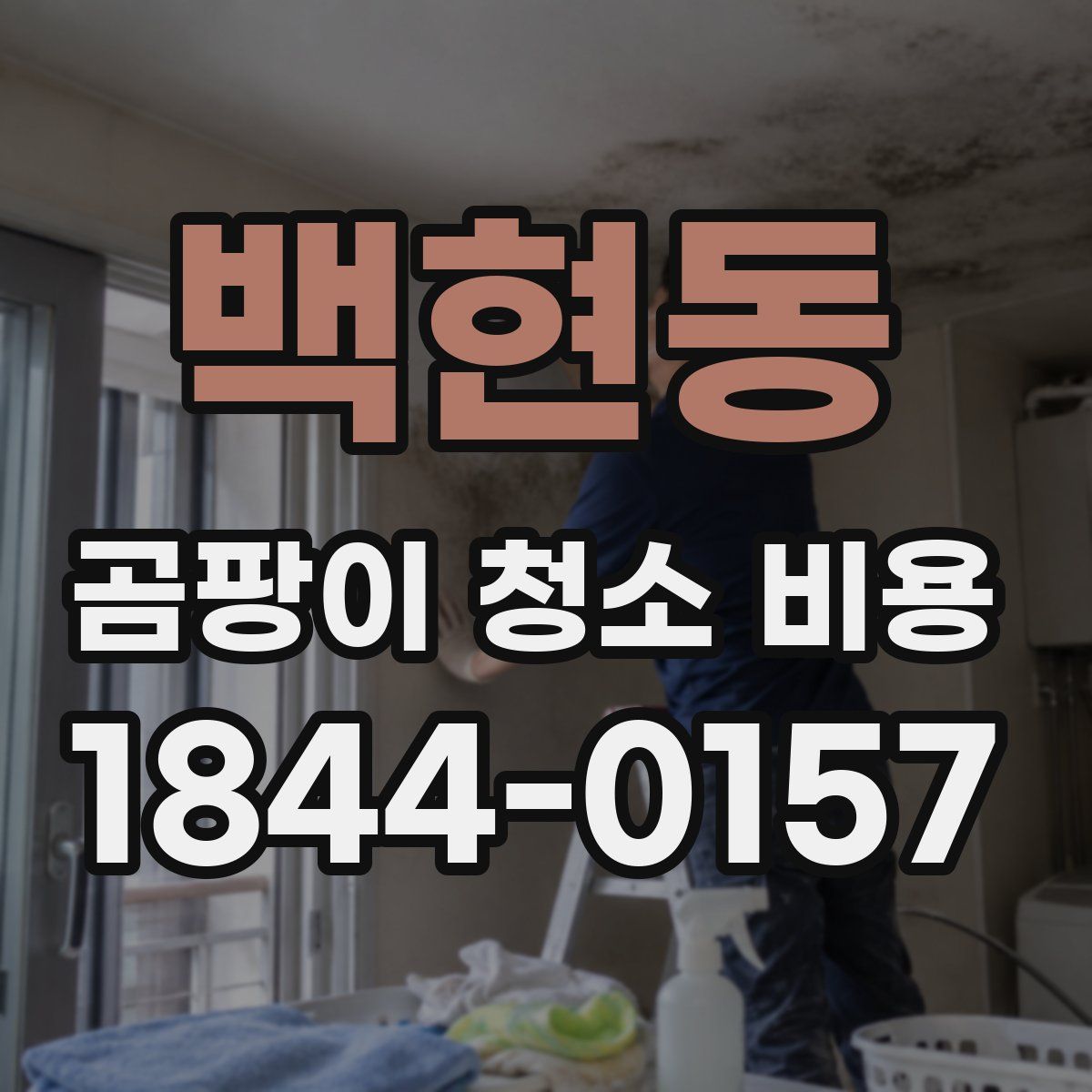 백현동 곰팡이 청소 비용