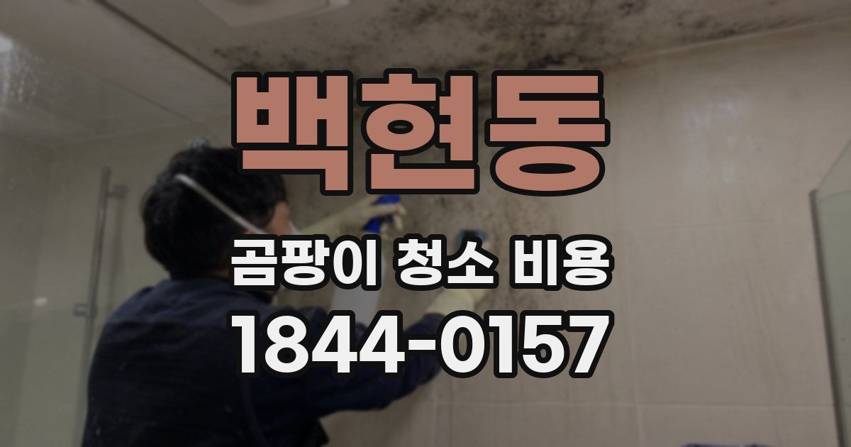 백현동 곰팡이 청소 비용
