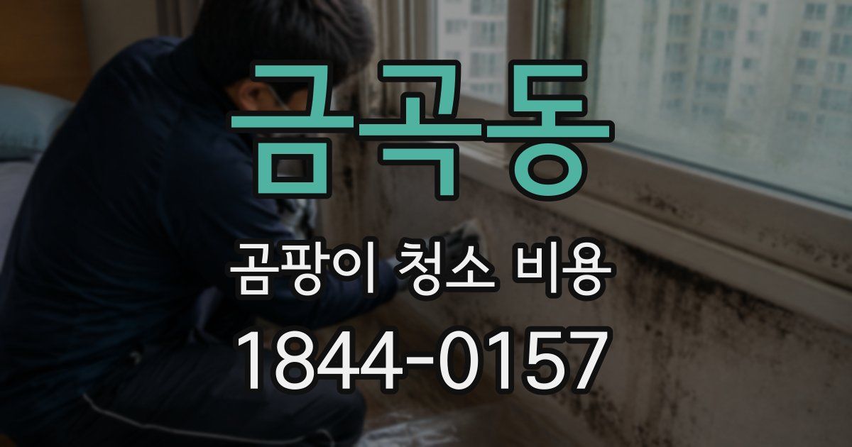 금곡동 곰팡이 청소 비용