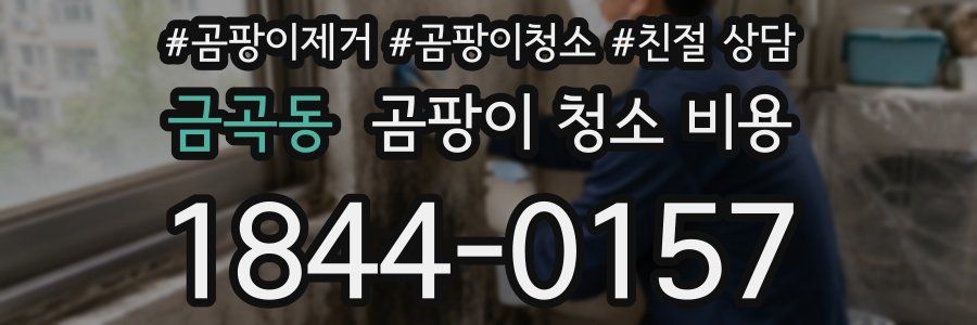금곡동 곰팡이 청소 비용